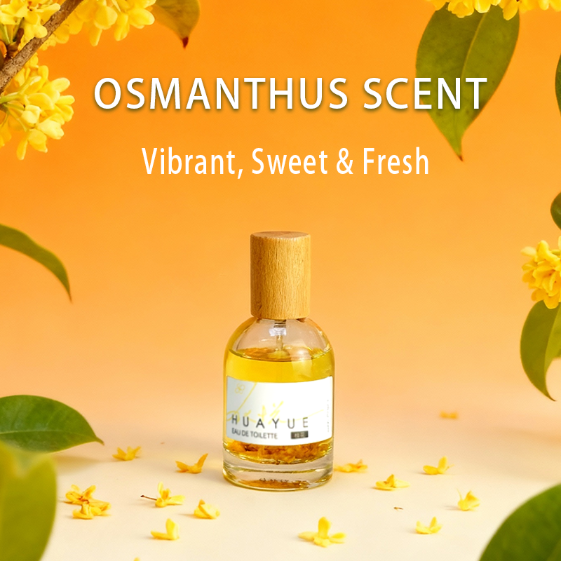 Perfume HOPE CHRISTINE Osmanth - Perfume Aqua Fragrance avaliação e preço