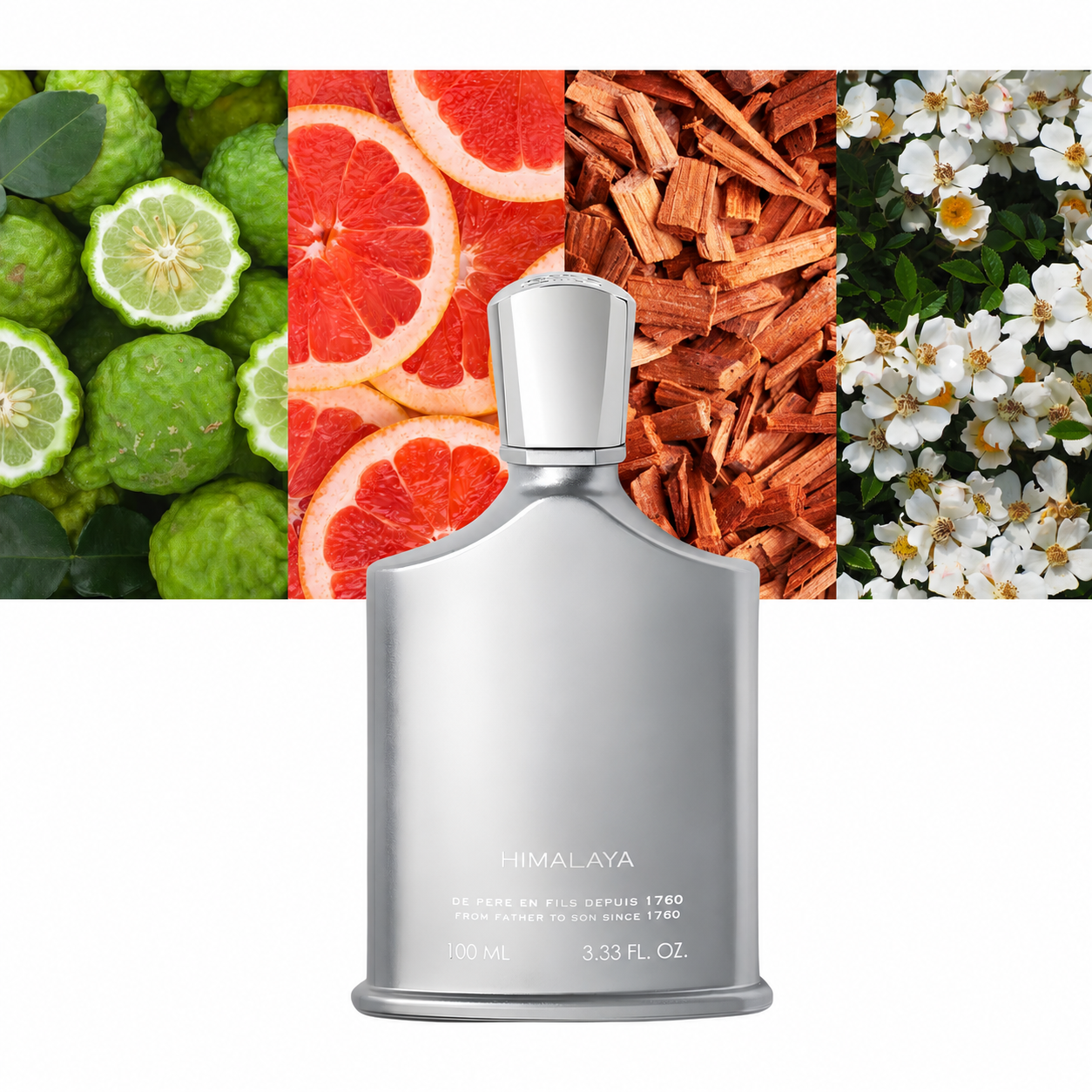 Perfume Masculino de Luxo 100m - Perfume Fragrance Making avaliação e preço
