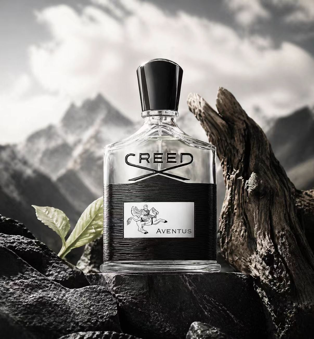 Creed Aventus: Colônia Masculi - Creed Aventus Dupe avaliação e preço
